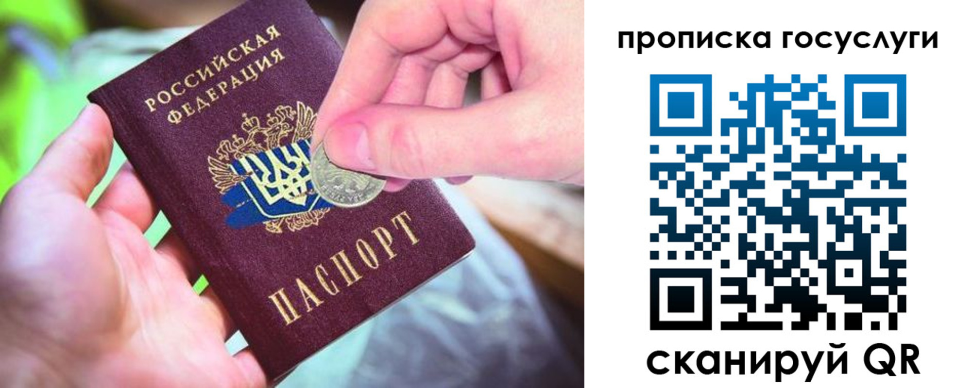 временная регистрация для всех в Димитровграде